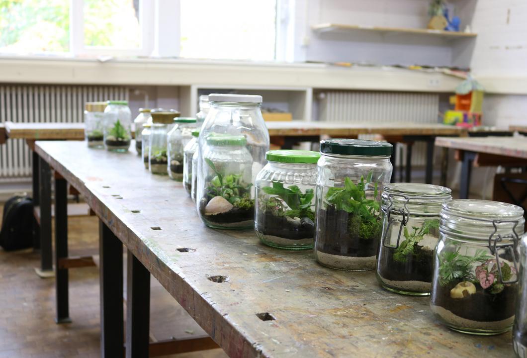 Ein Tisch, auf dem selbstgemachte Pflanzenterrarien stehen. 